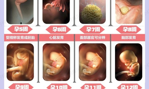 直肠黏膜损伤几个月能恢复-直肠粘膜破裂多久自愈-直肠黏膜受损,中国直肠黏膜损伤几个月网站