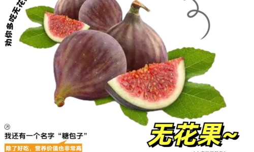 直肠粘膜受损多久能恢复-直肠粘膜破裂多久自愈-直肠黏膜受损,中国直肠黏膜损伤几个月网站